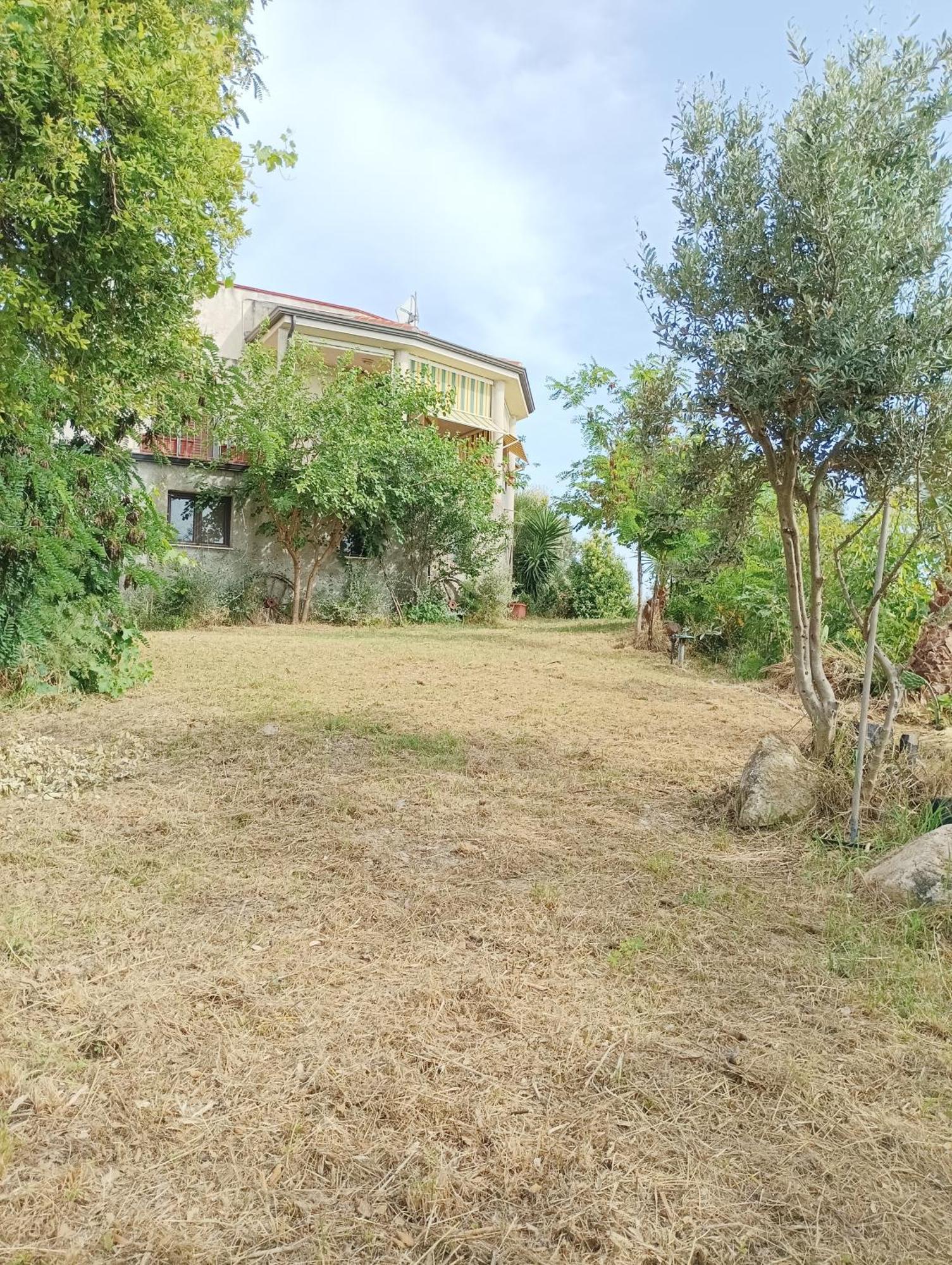 Hotel Palapico Bonifati Exterior foto